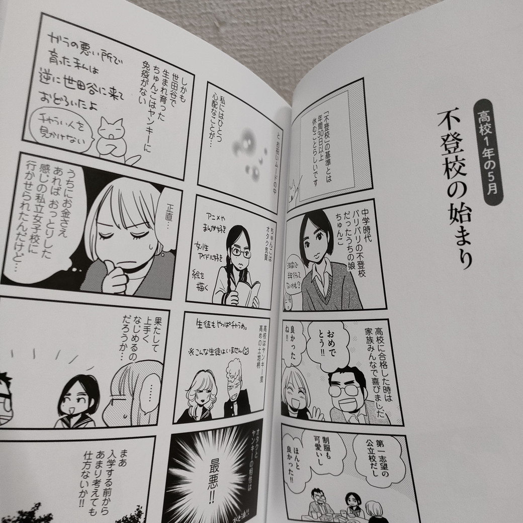 即決!送料無料! 『 不登校の17歳 出席日数ギリギリ日記 』 ■ 青木光恵 エッセイ 不登校 中学 高校 受験 大学