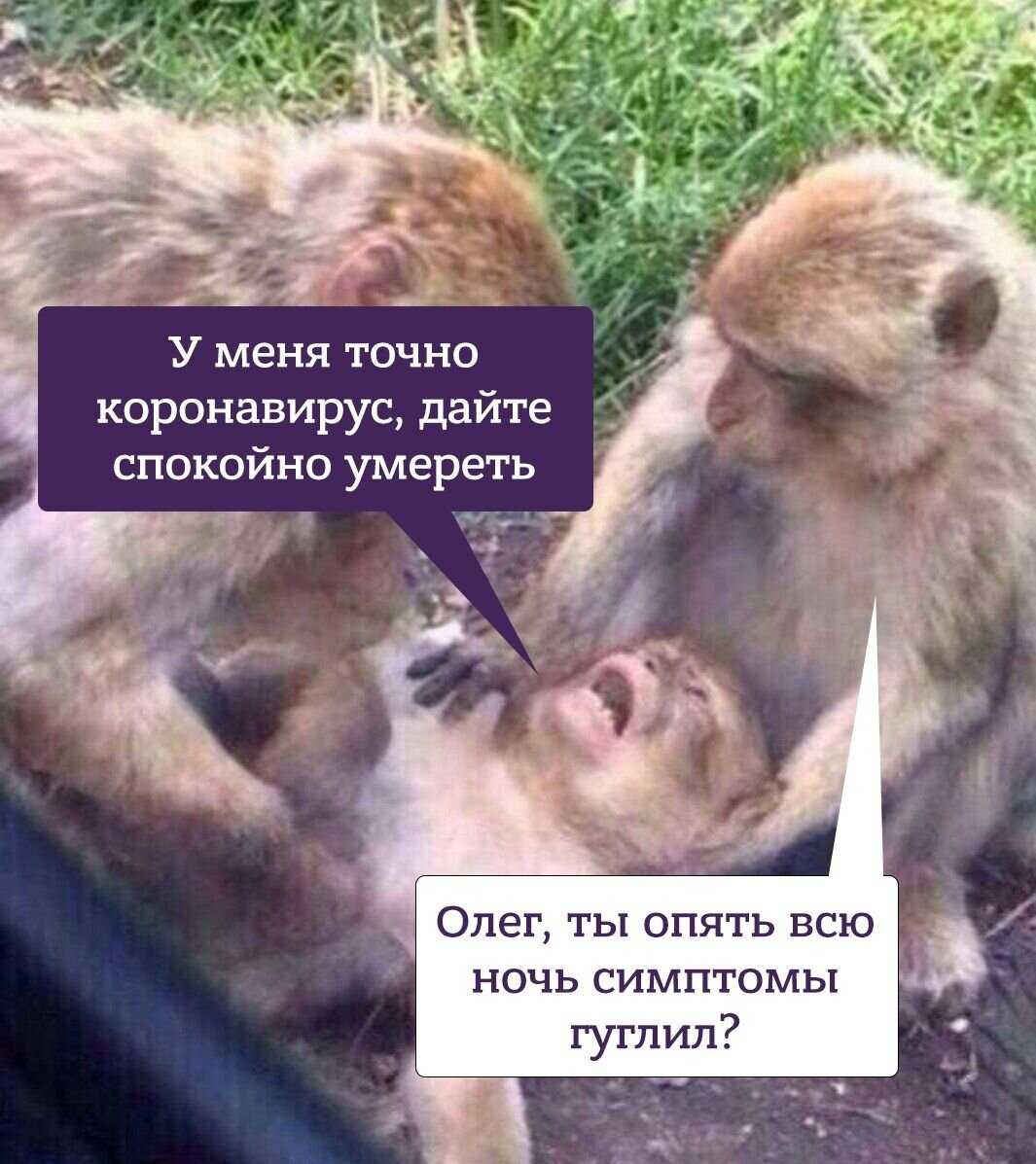 Мем заболел