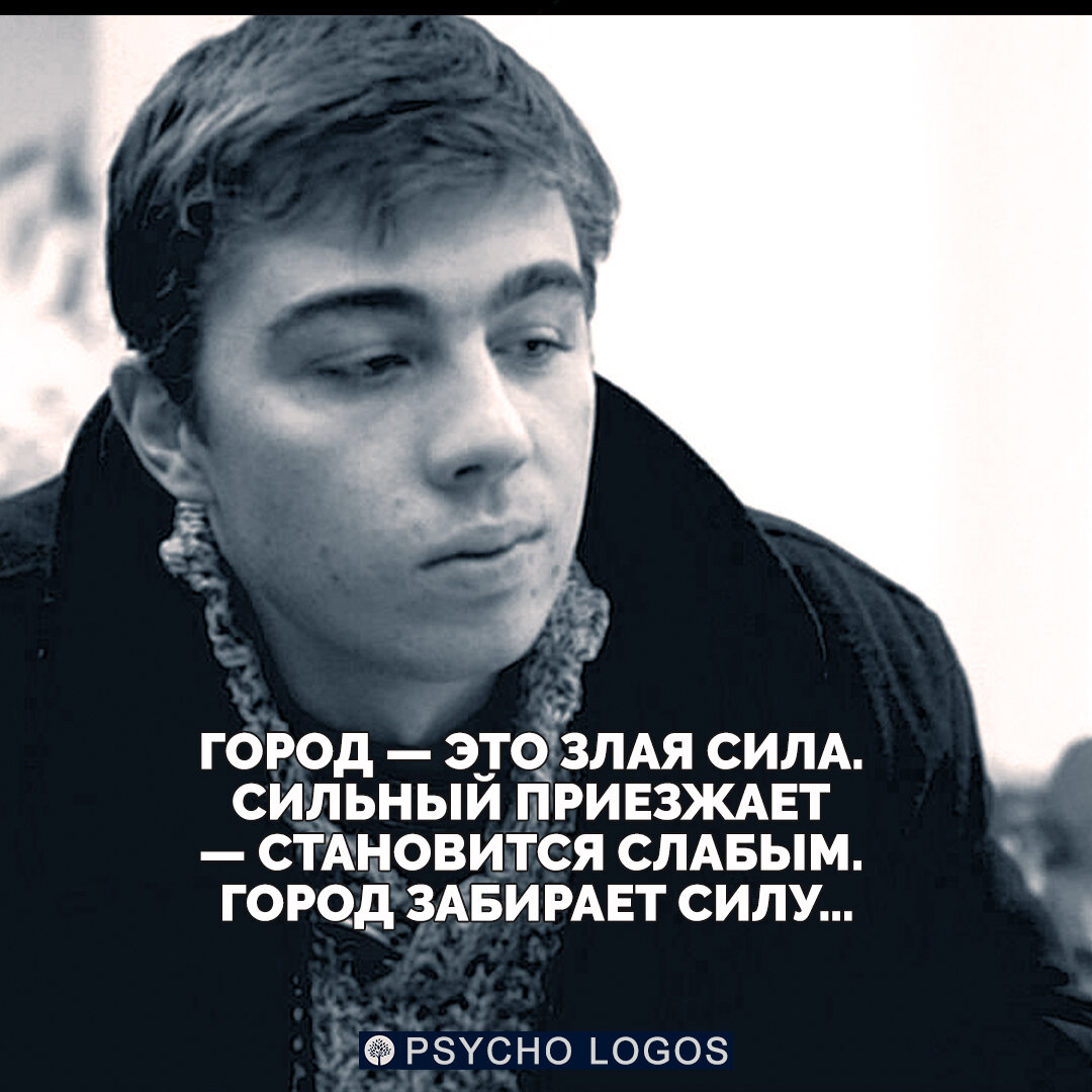 Бодров цитаты. Фразы сергея бодрова. Высказывания сергея бодрова младшего. Цитаты сергея бодрова. Фразы сергея бодрова.