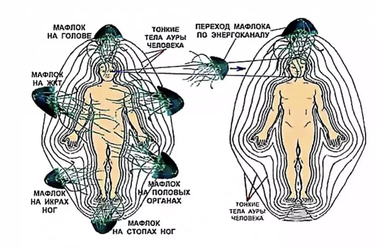 larvas astrales