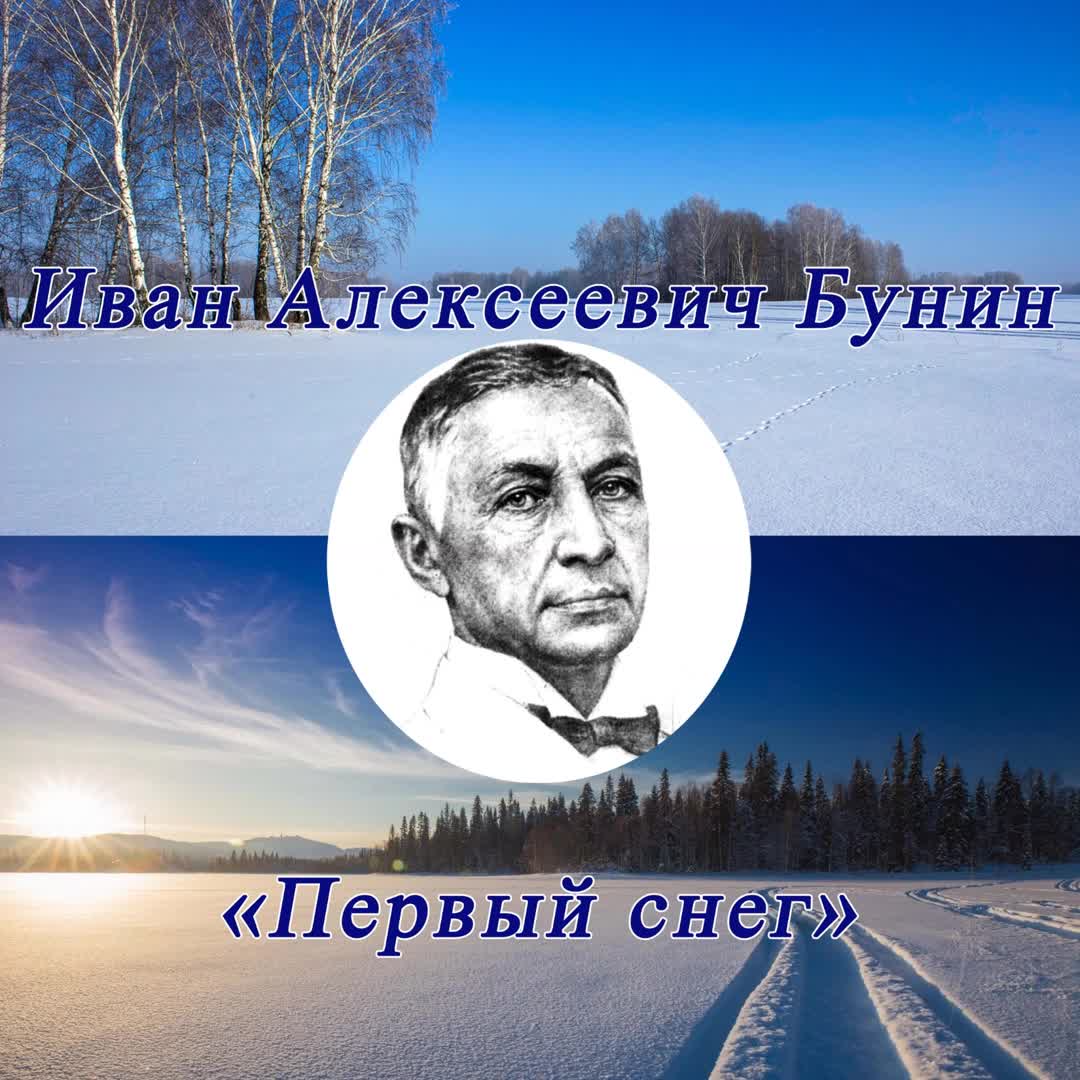 Стихотворение ивана бунина про зиму. Зимним хододом разнулр. Бунин первый снег. Стихотворение о первом снеге. Зима бунина.