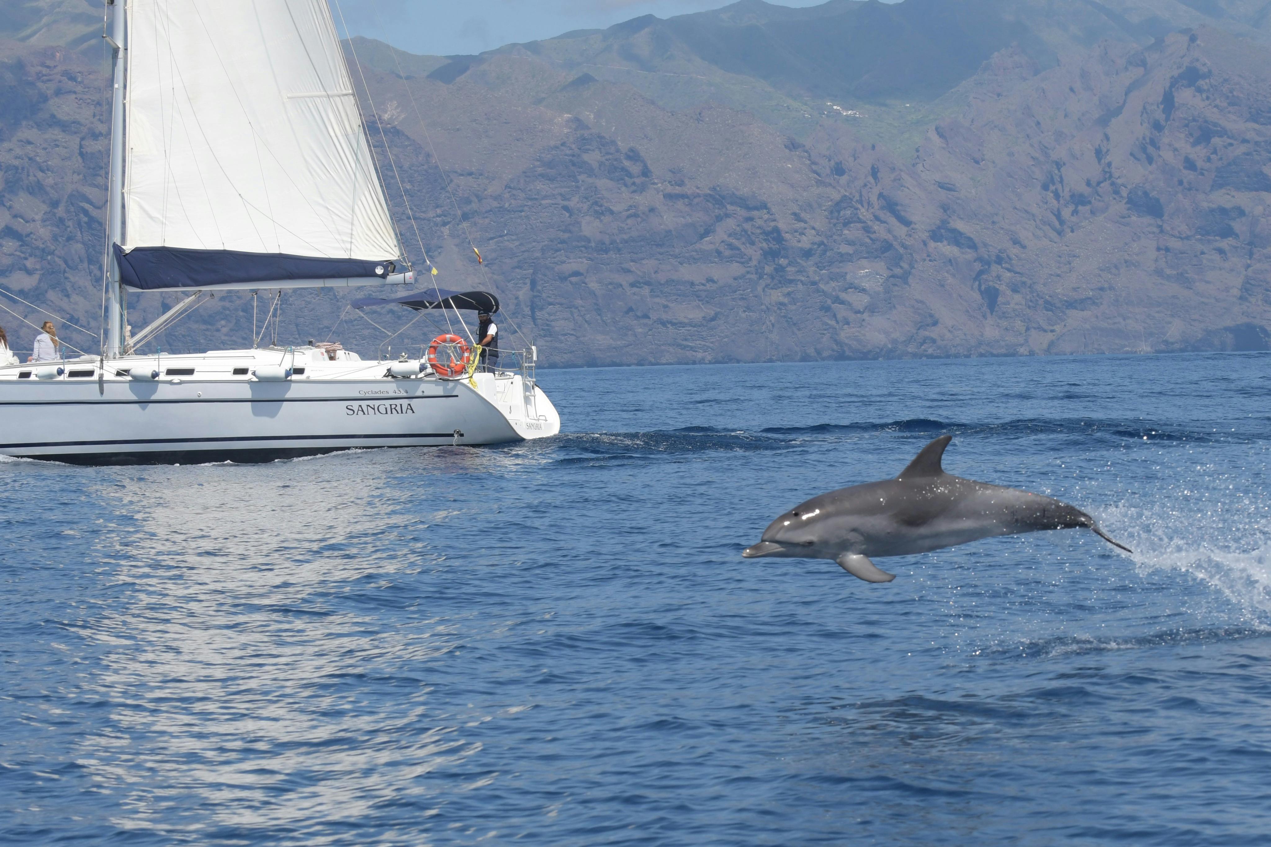 Tenerife: 3-Hour Sailing Tour to Los Gigantes with Snorkelling, Drink & Tapas