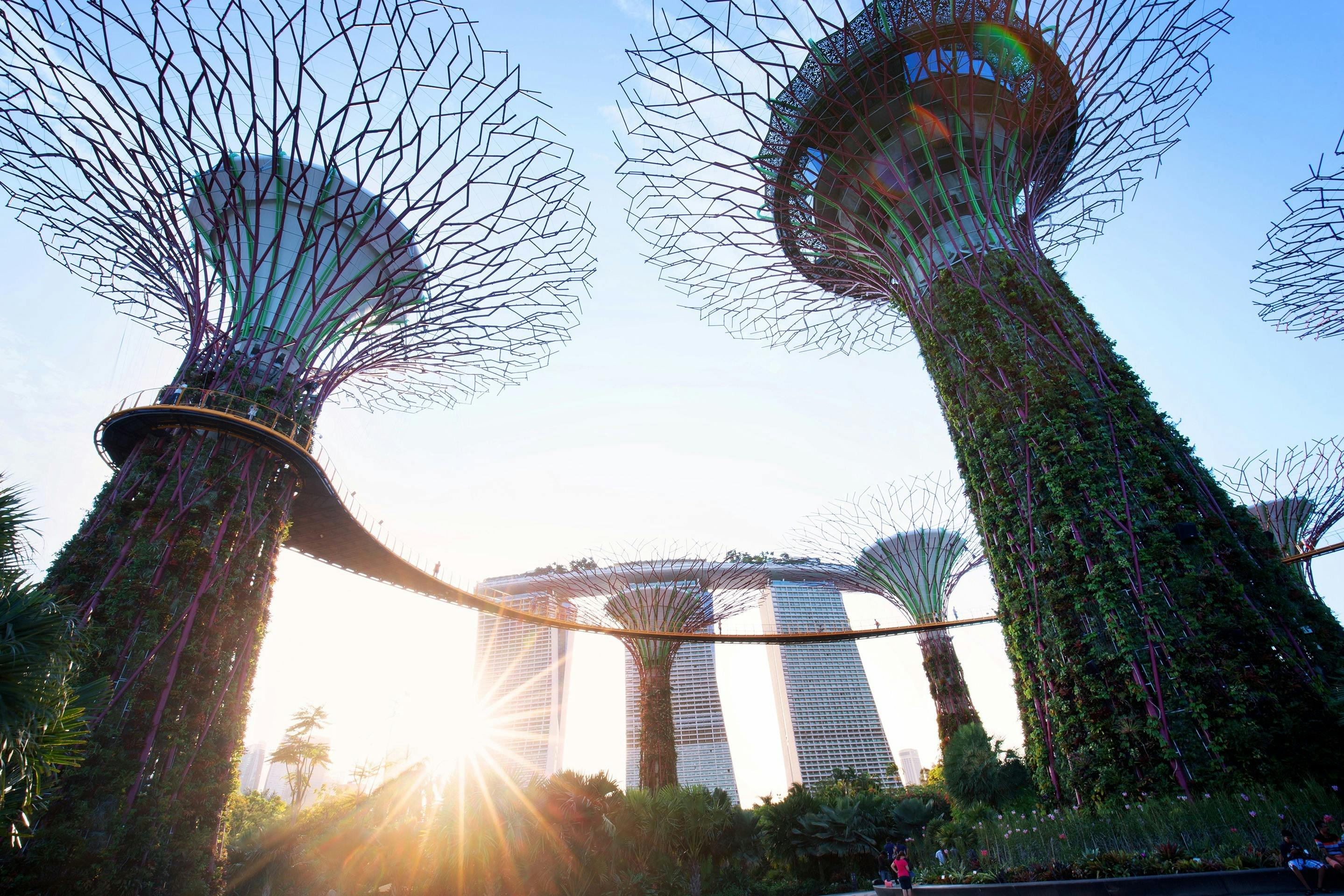 Singapore: Guided Tour & Attraction 9+ Pass