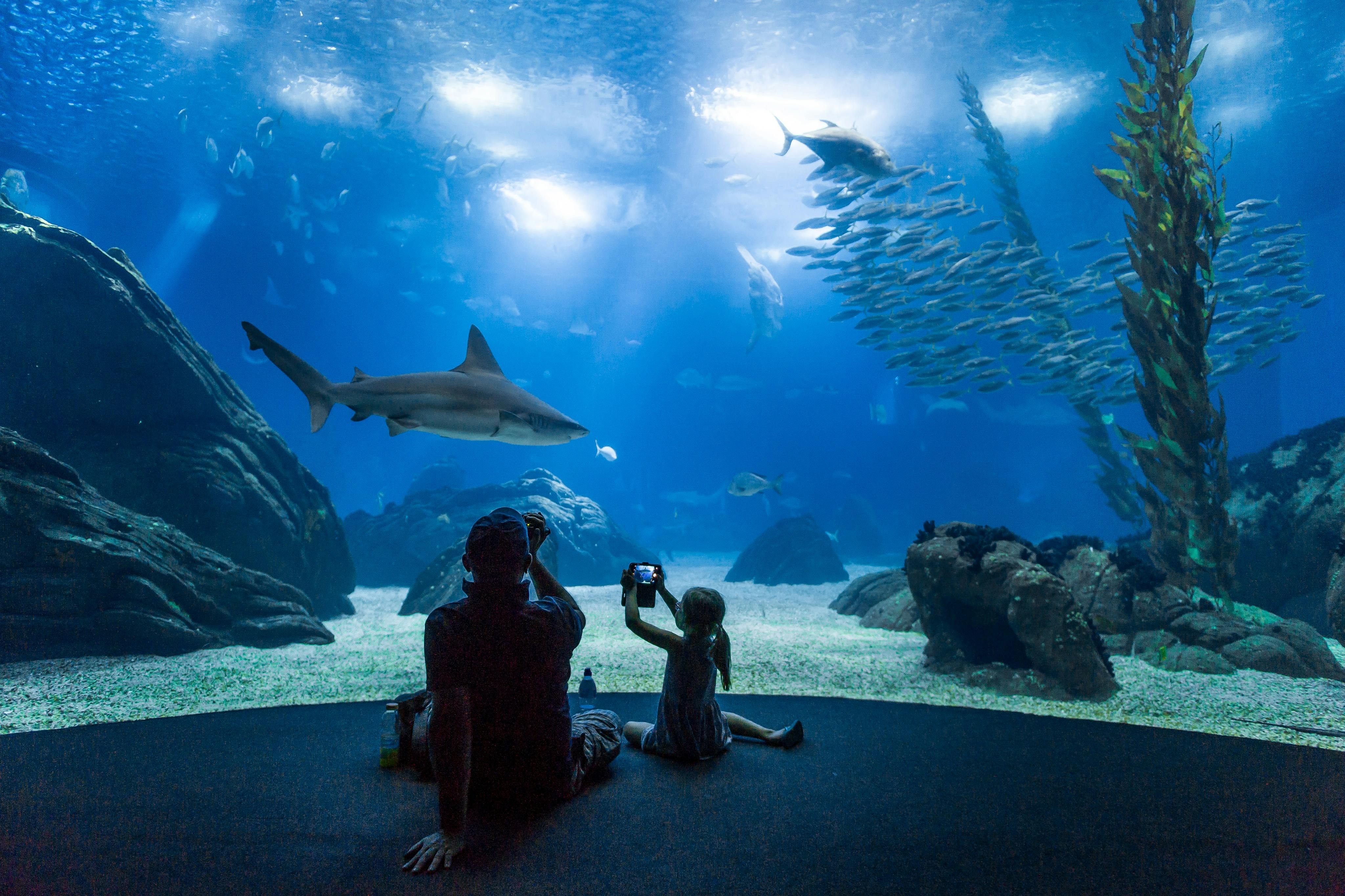 Oceanário de Lisboa & Jerónimos Monastery: Entry Ticket