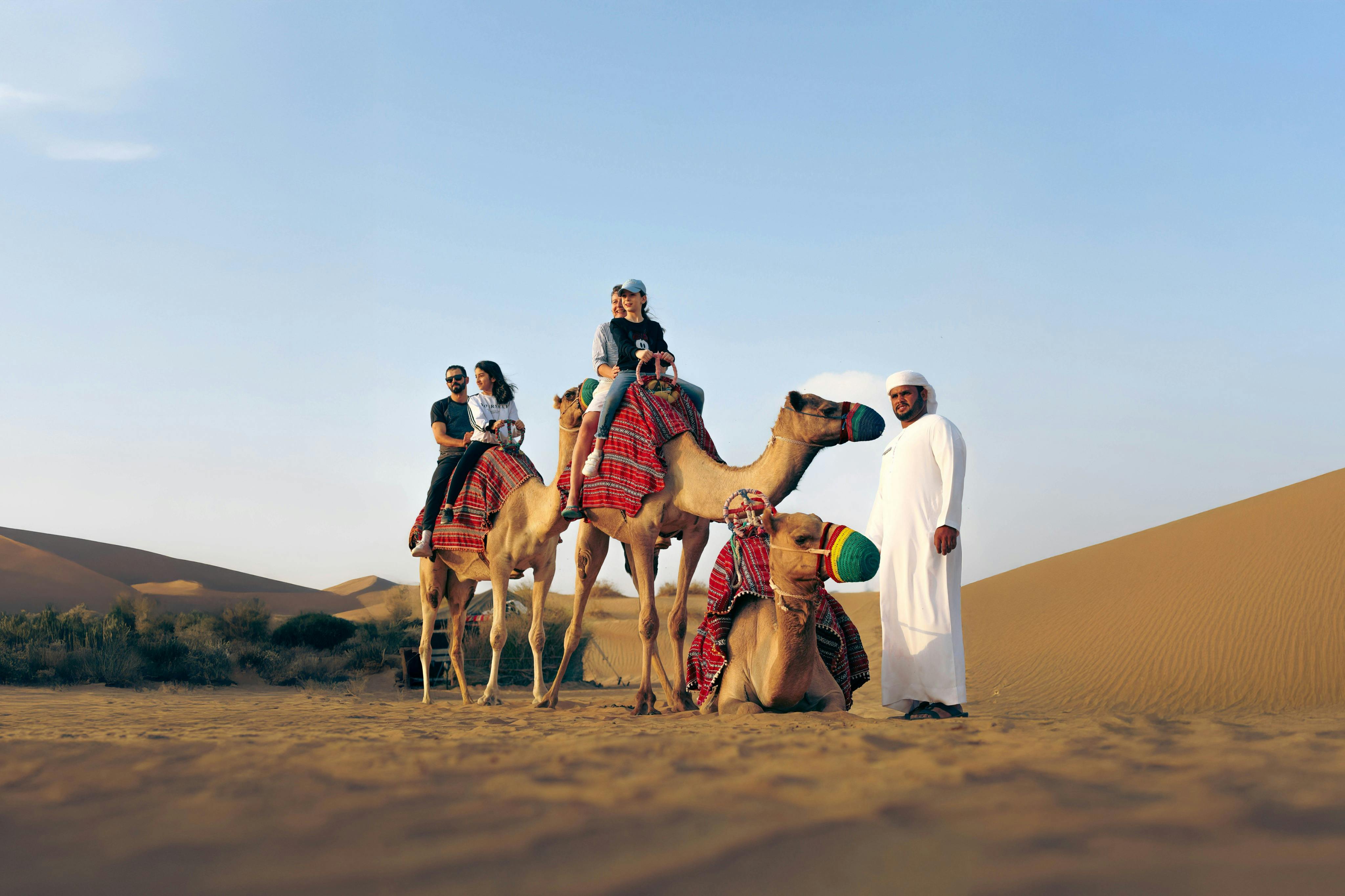Dubai: Guided Camel Desert Safari + Dinner + Transfers + Falcon Show