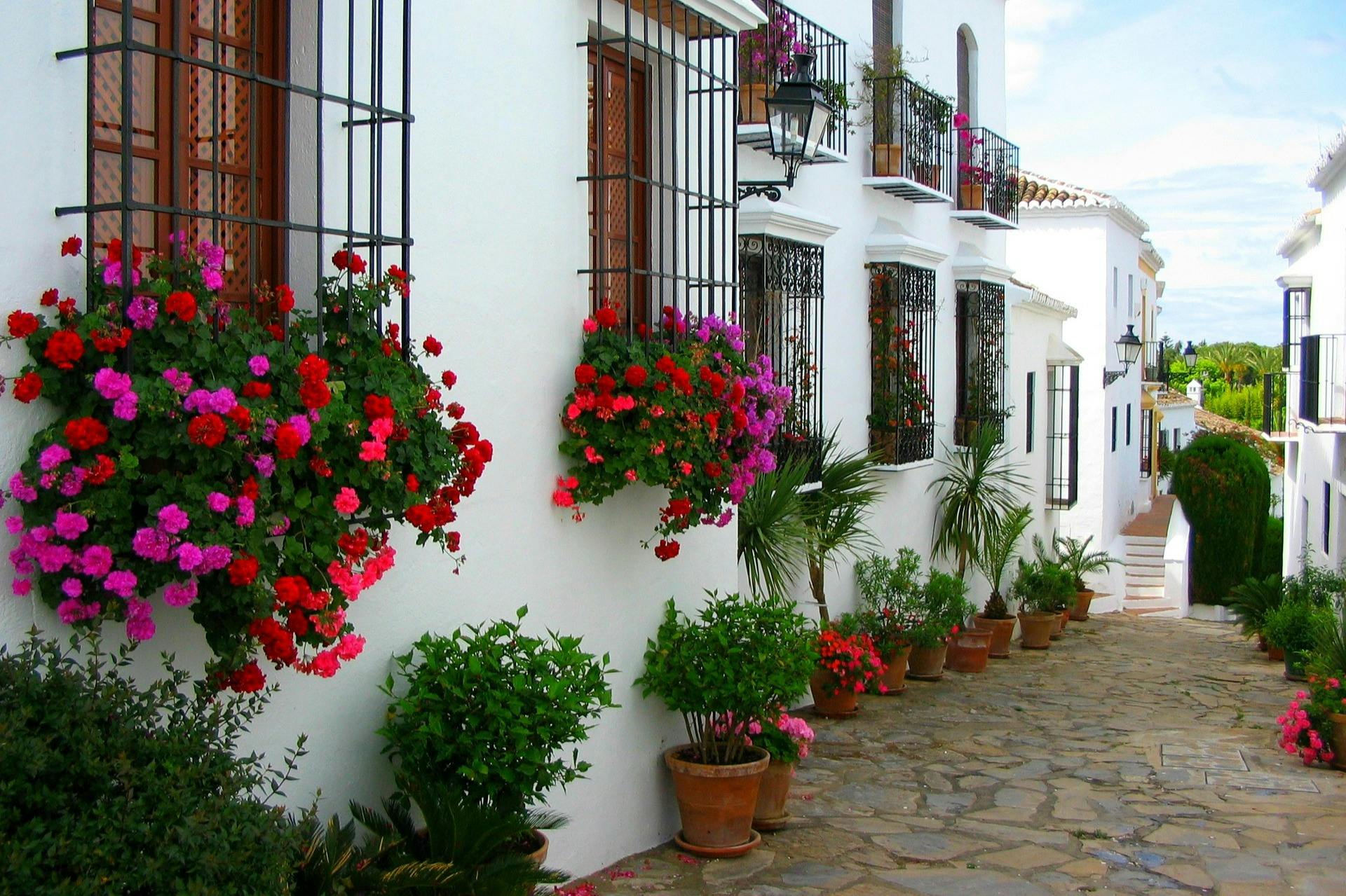 Mijas, Marbella & Puerto Banús: Guided Tour