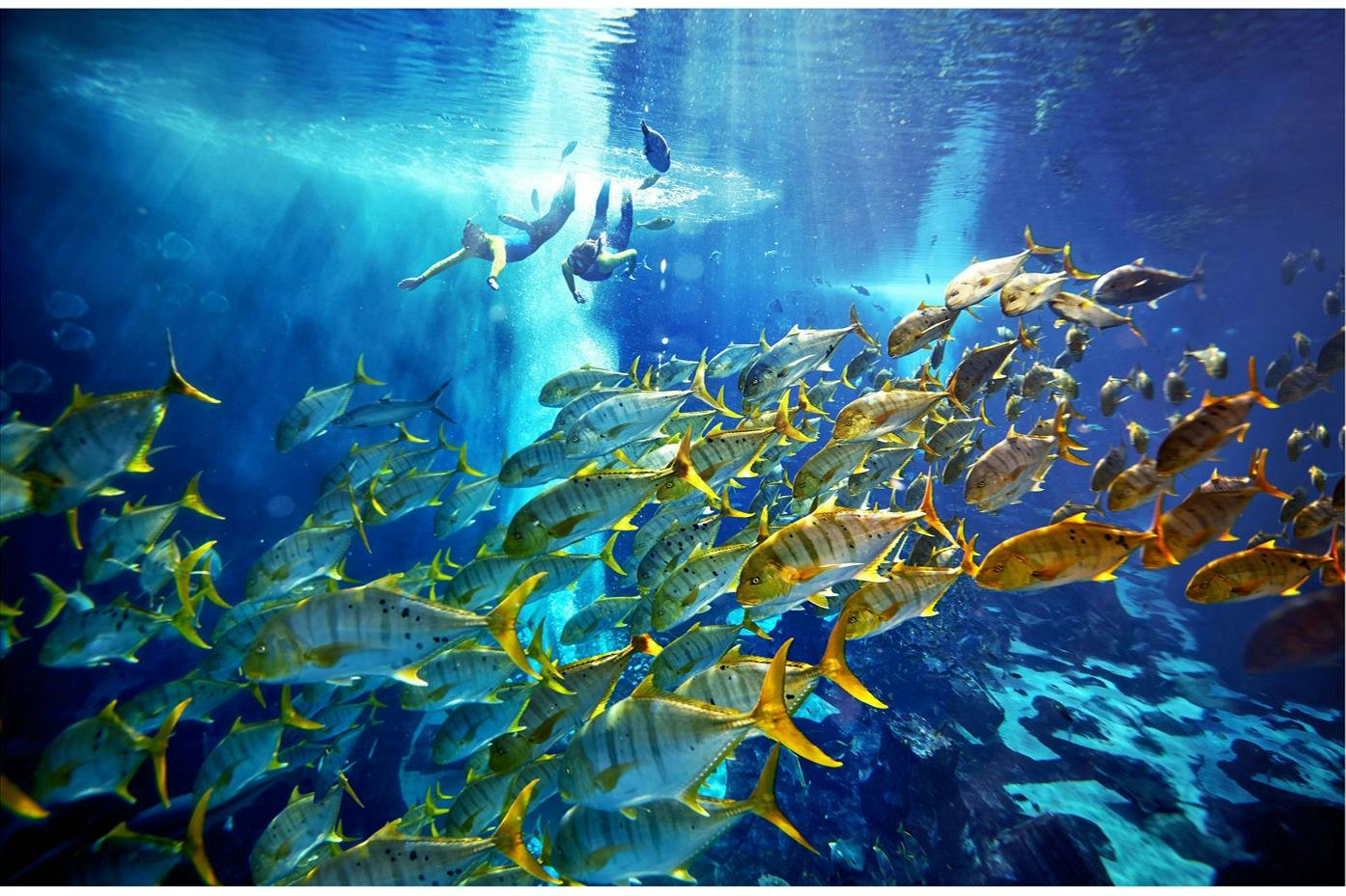 Lost World Aquarium: Aquarium Experiences