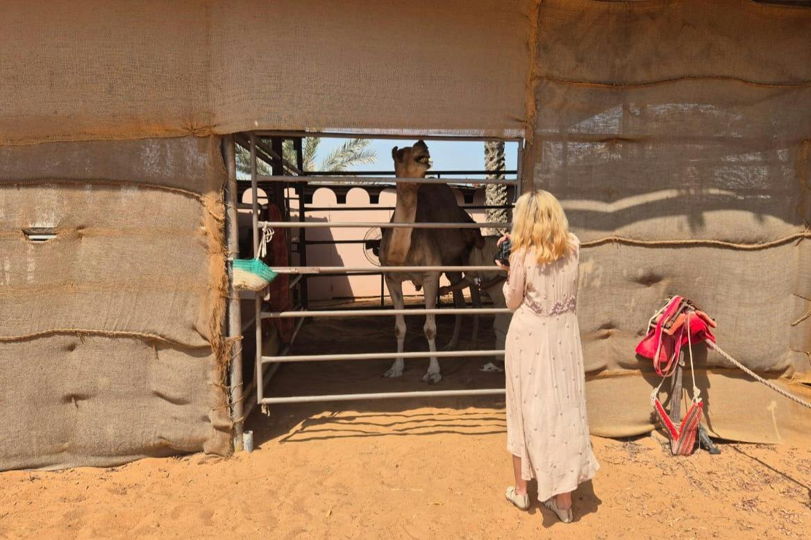 Al Ain: Private Guided Day Tour from Abu Dhabi