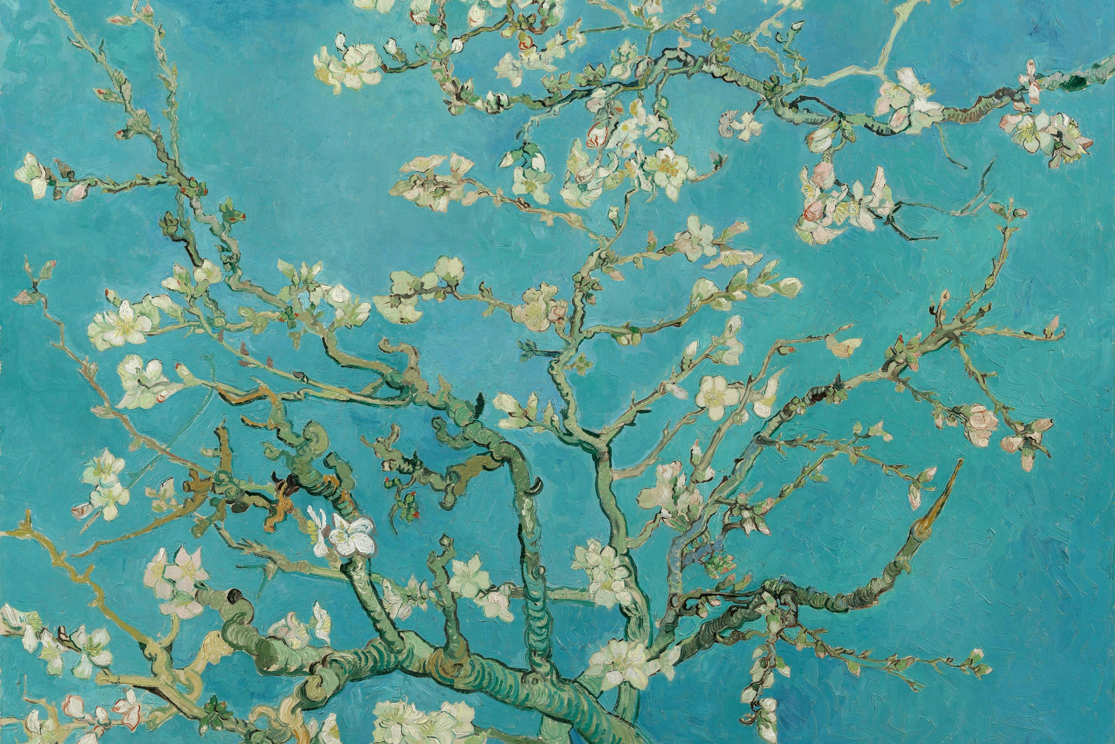 Van Gogh Museum: Guided Tour