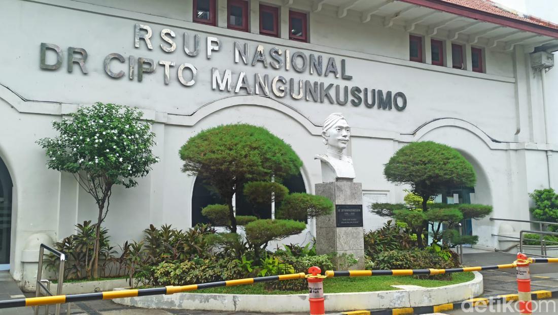 RSCM-IDAI Buka Suara soal Viral Banyak Bocil Cuci Darah, Begini Penjelasannya