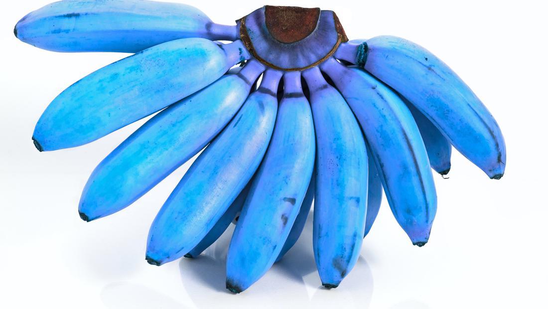 4 Pisang Terbaik di Asia Tenggara, Nomor 1 Bukan dari Indonesia