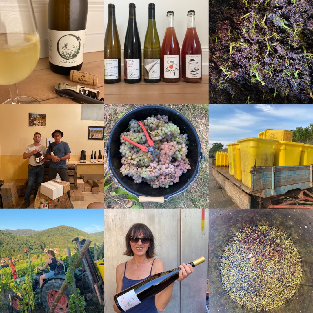 The 2020 Blog Back In Alsace