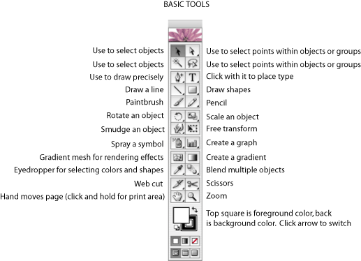Illustrator CS
