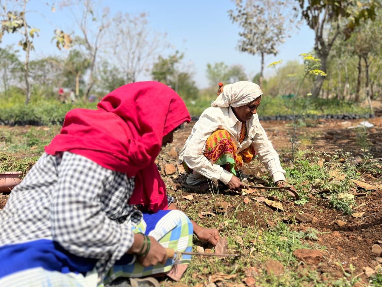 Rural Jobs Scheme Has Yet To Benefit The Most Marginalised Women Of  Maharashtra - BehanBox