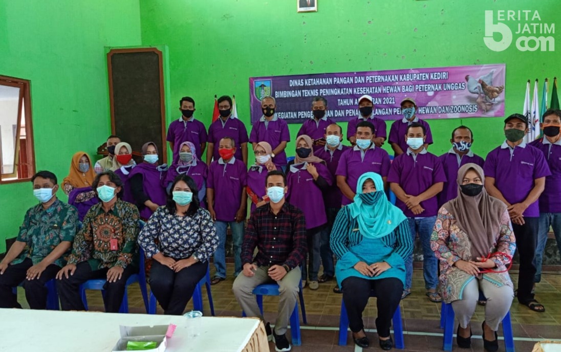 Cegah Penyakit Unggas, DKPP Kabupaten Kediri Beri Pelatihan Biosecurity pada Peternak | beritajatim.com