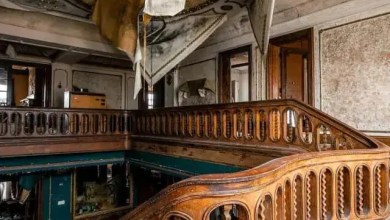 Explore the Abandoned Beauty of Traxler Mansion in Dayton, Ohio