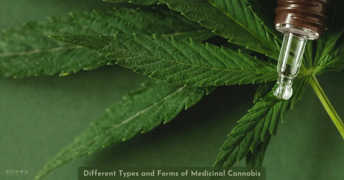 Different Types and Forms of Medicinal Cannabis: What You Need to Know