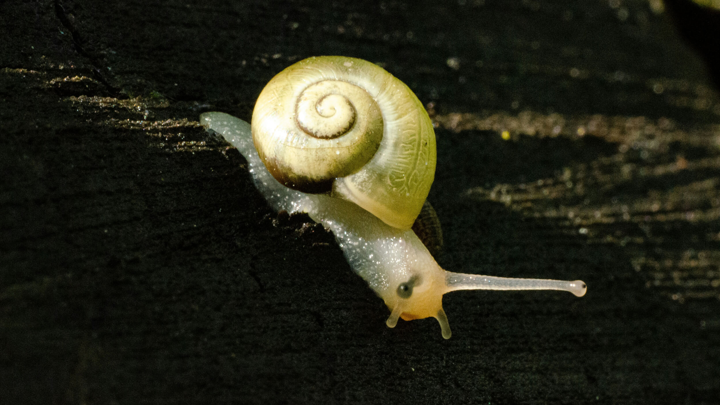 The radical act of slowing down