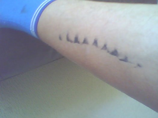 The Dreaded Chainring Tattoo - Bike Noob 394_x_525_jpg
