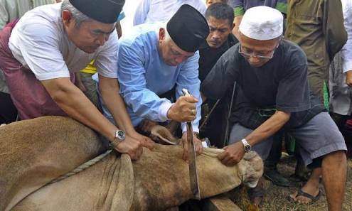 Doa saat Menyembelih Hewan Kurban | Bincang Syariah