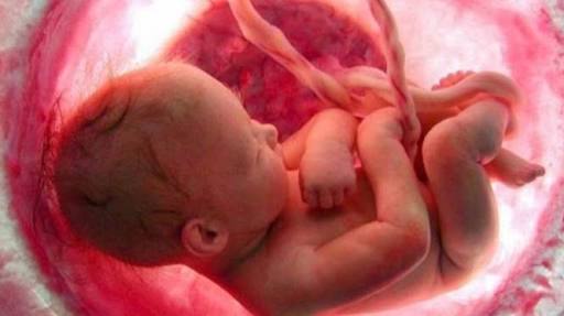 Manfaat Surat Maryam untuk Ibu Hamil | Bincang Syariah