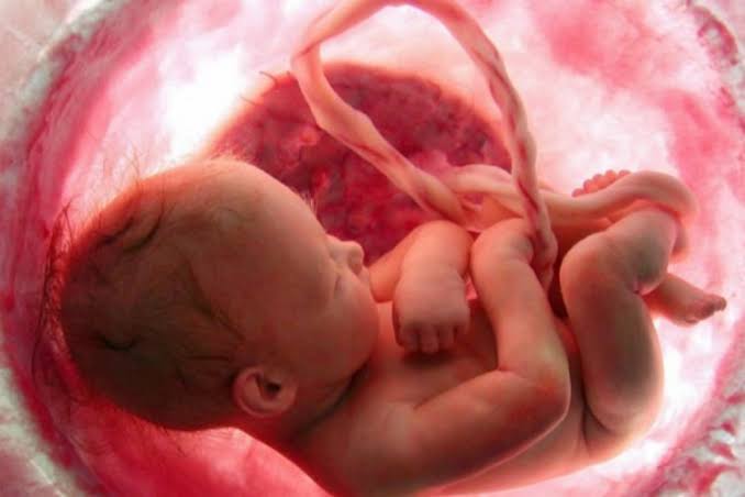 Penjelasan Penciptaan Manusia secara Biologis dalam Alquran dan Hadis |  Bincang Syariah