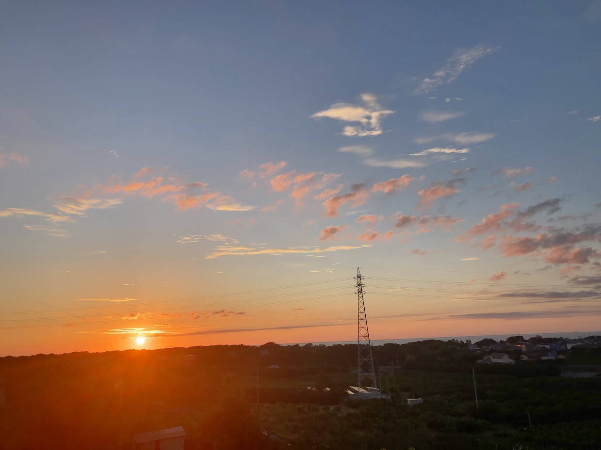 台風明けの。