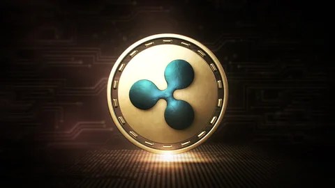 Here’s How Much Ripple’s CTO XRP Holdings Would Be Worth If He Never Sold | Bitcoinist.com