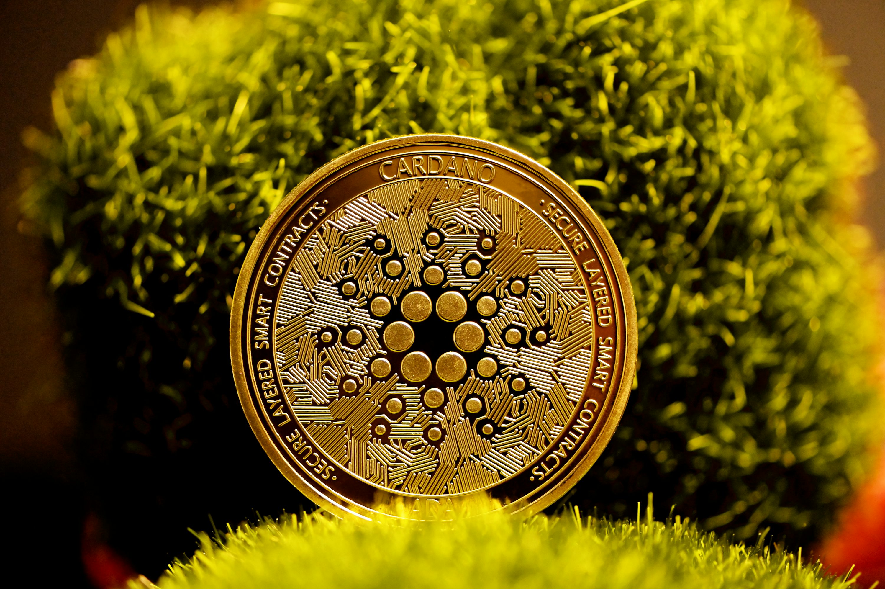 Cardano Just Took Another Major Hit Amid Zombie Chain Allegations