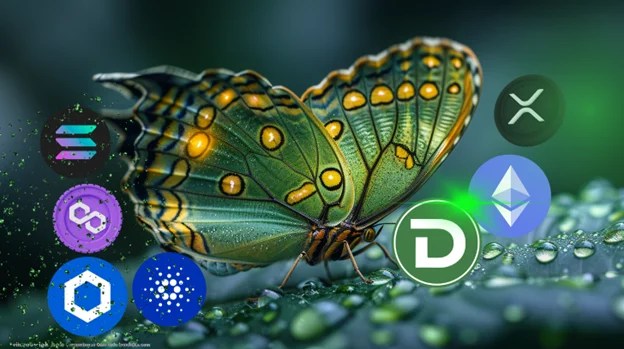 PEPE et Dogwifhat (WIF) mènent la frénésie Memecoin alors que DTX Exchange est sur le point de dépasser les projets existants avec une prévente de 525 000 $ PEPE et Dogwifhat (WIF) mènent la frénésie Memecoin alors que DTX Exchange est sur le point de dépasser les projets existants avec une prévente de 525 000 $