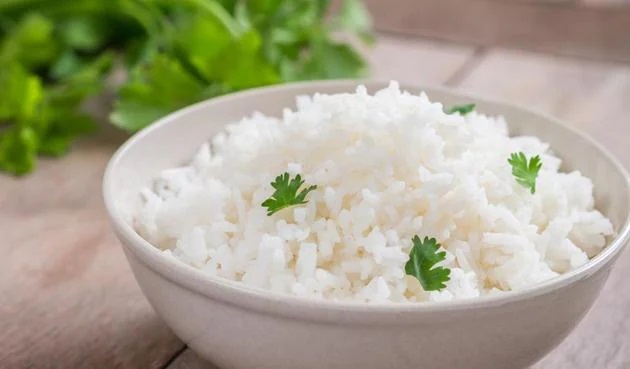 makanan untuk orang yang susah gemuk