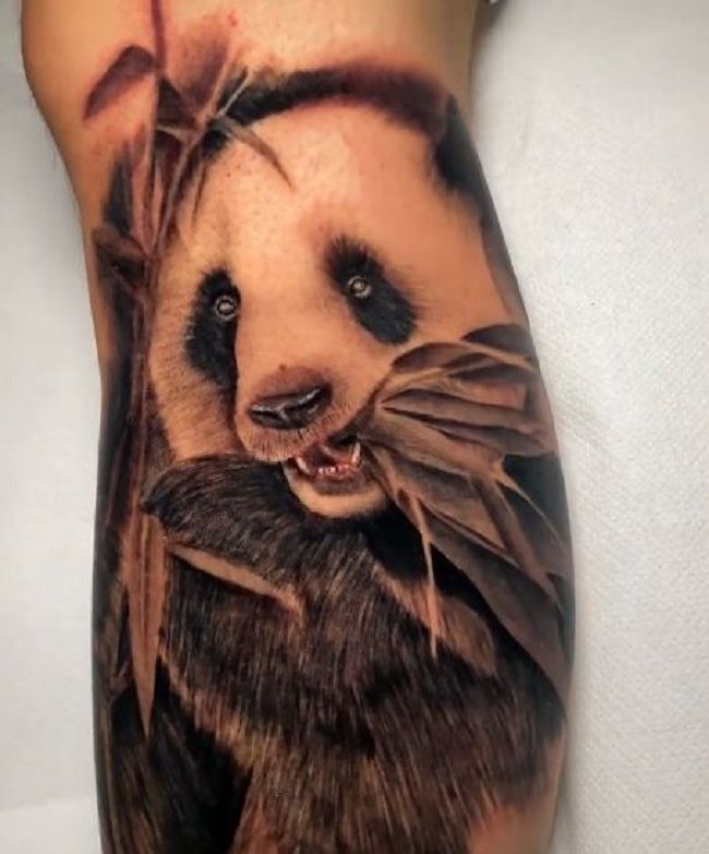 50+ Amazing Panda Tattoos With Meaning - Body Art Guru 783_x_650_jpg
