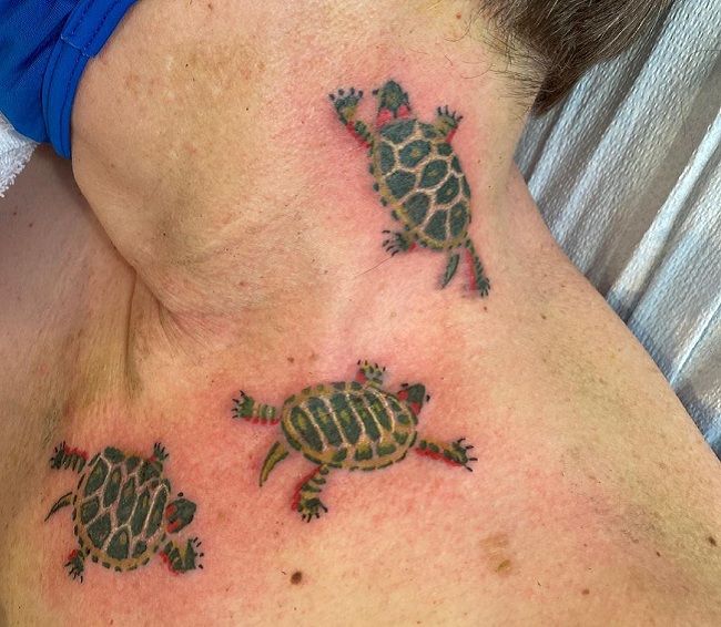 50+ Amazing Turtle Tattoos With Meaning - Body Art Guru 566_x_650_jpg