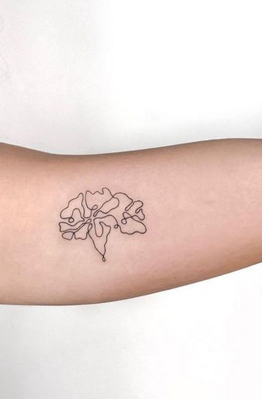 100+ Amazing Carnation Tattoo Designs With Meanings, And Ideas - Body Art Guru 800_x_526_jpg