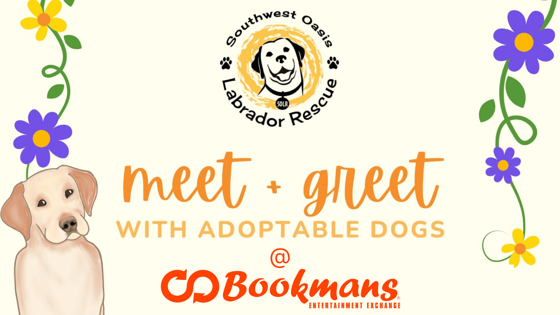 Home - Bookmans Entertainment Exchange Bambi Cummings’ Gallery: Where Fantasy Meets Reality