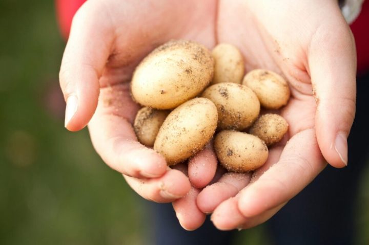15 Spud-tacular Potato Recipes You’ll Be Obsessed With Seriously