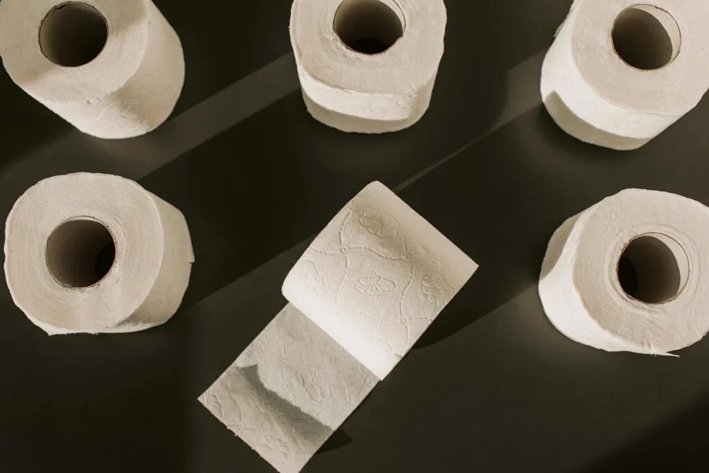 The Definitive Guide to the Best Toilet Paper: Our Rigorous Lab Tests Reveal Top Picks for Every Home and Plumbing System