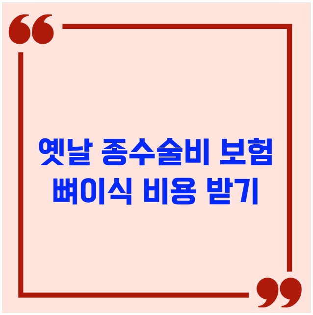 옛날 종수술비 보험으로 뼈이식 비용 받기