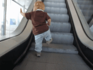 The Gif Friday Post No 540 Powering An Escalator Gorilla Rinse Cycle Cat Pursuit Tacky Raccoons