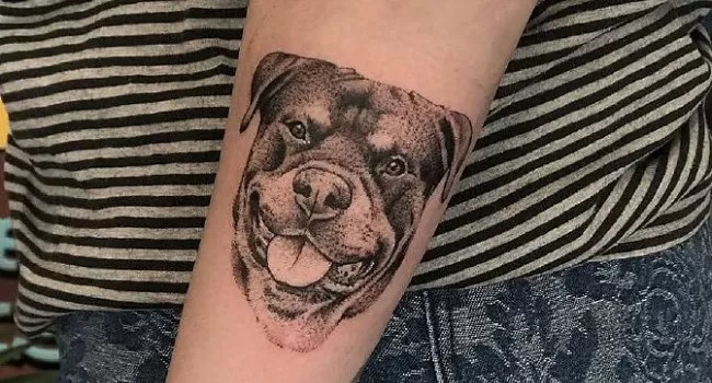 15 Ideas For A Rottweiler Tattoo - Buzzsharer.com 350_x_650_jpg