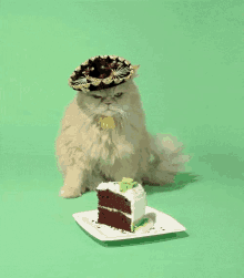 Birthday Cat Gifs Tenor