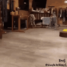Owl Who Meme Gifs Tenor