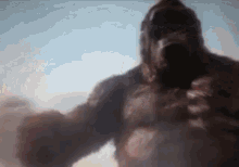 Angry Gorilla Gifs Tenor