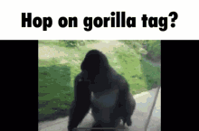 Gorilla Tag Vr Gif Gorilla Tag Vr Gorilla Discover Share Gifs