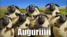 Augurissimi Gifs Tenor
