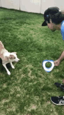 Dog Flip Gifs Tenor