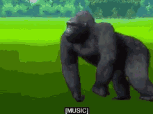 Harambe Gifs Tenor