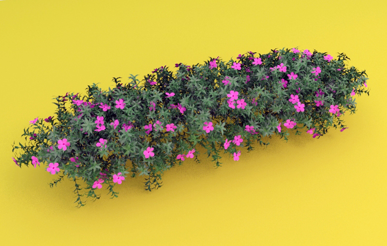 Garden Flowers Free 3d Model Free C4d Models