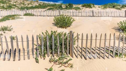 ganivelle landes
