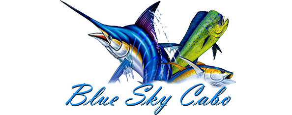 Blue Sky Cabo